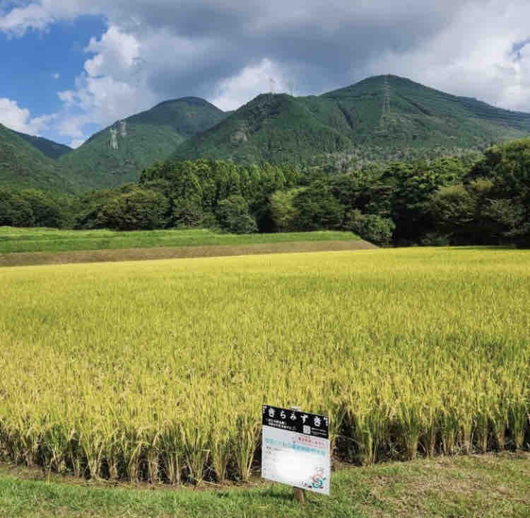 Tokyo Grain Lab.の原点を感じる自然と農の風景